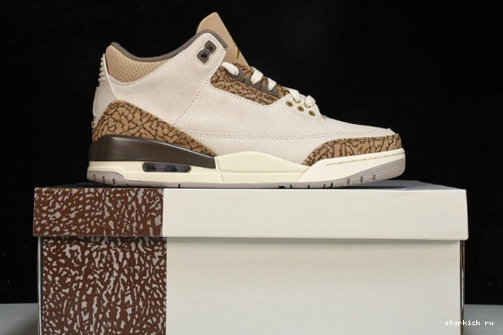 Retro Jordan  3  CT8532-102 Palomino CT8532-102 0925